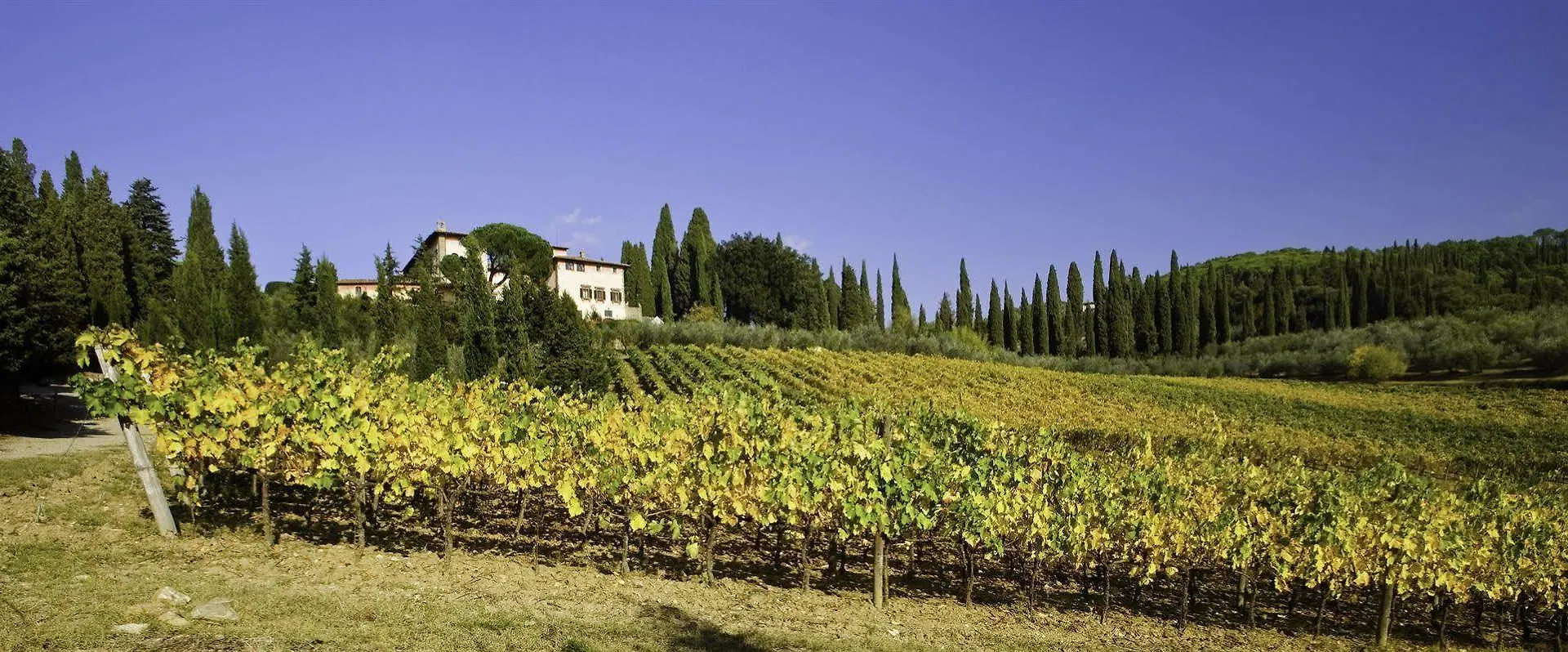 Casolese Villa Greve in Chianti